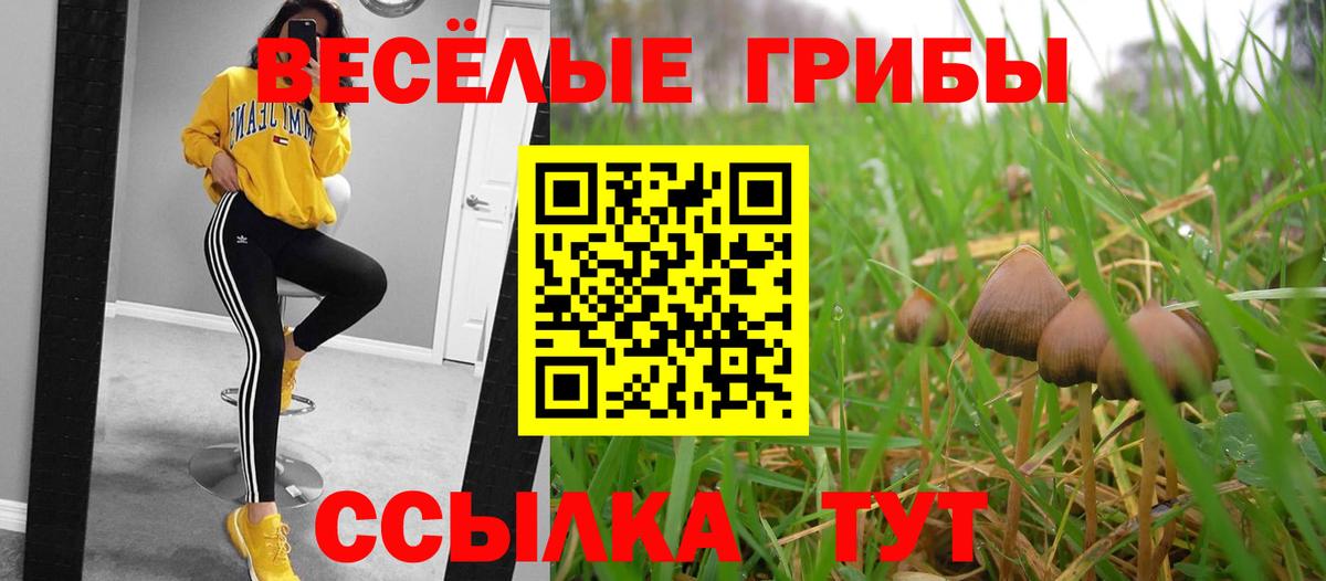 Галлюциногенные грибы прущие грибы Борзя