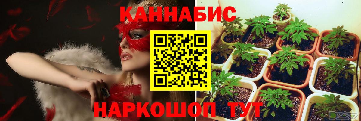 Бошки марихуана семена  Вход с VPN  Бошки марихуана Ganja  Борзя 